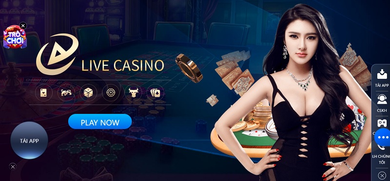  Live Casino 